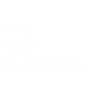 The Hair Collective Ltd